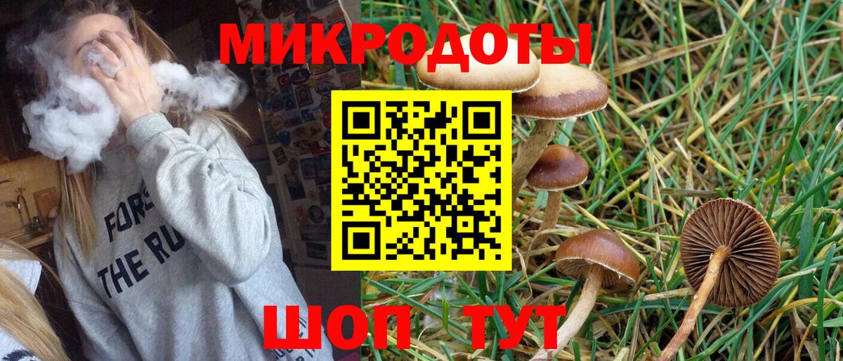 Галлюциногенные грибы Cubensis  Вход с VPN  Минеральные Воды  Галлюциногенные грибы Psilocybe 