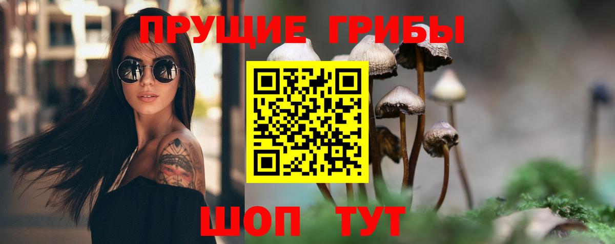 Псилоцибиновые грибы Psilocybe Минеральные Воды